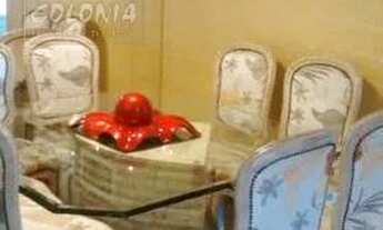 Imagem 6: Santo André - Apartamento Padrão - Parque das Nações