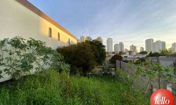 Imagem: São Paulo - Terreno Padrão - Tatuapé