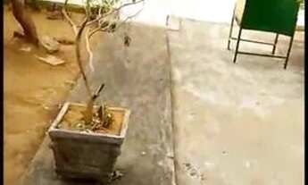 Imagem 2: Casa Grande alugar bom jardim Ipatinga alojamento