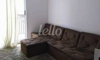 Imagem 3: Santo André - Apartamento Padrão - Vila Homero Thon