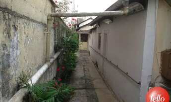 Imagem 2: São Paulo - Terreno Padrão - Vila Formosa