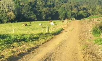 Imagem 3: FAZENDA PRODUTIVA, localizada em Capão Bonito e Guapiara/SP