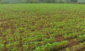 Imagem 5: Chácara 5 algs. 790 mil Campo Largo.Pr