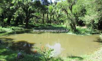 Imagem 6: Sítio para venda de 6.000m² com 3 quartos prontinho para morar (acesso asfaltado