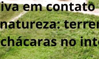 Imagem: Chácaras e Terrenos e Lotes com documento