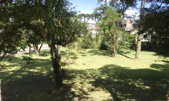 Imagem 4: Canela - Loteamento/Condomínio - Centro