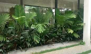 Imagem 2: CASA ASSOBRADADA - JARDIM PAULISTANO - SP