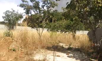 Imagem 3: Vendo lote 800m2 ponte alta norte, br 475