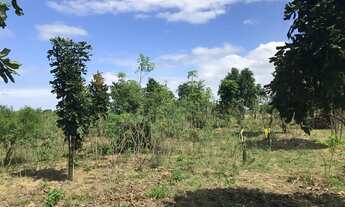 Imagem 6: Terrenos planos em Araruama 360m2 100% legalizado