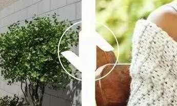 Imagem 4: Apartamentos à venda no Chapada Redentori, MRV, 2 quartos, 1 vaga, Bela Marina - Cuiabá-MT