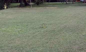 Imagem 5: Terreno em Gravataí/RS