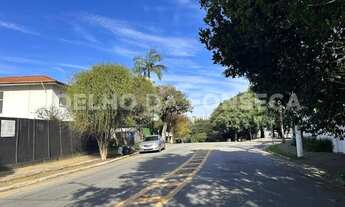 Imagem 6: Terreno Padrao - Pacaembu/Sao Paulo