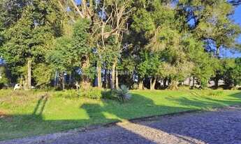 Imagem 7: Imóvel no Harmonia, Ivoti