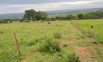 Imagem 4: Sítio próximo Uberlândia colégio agrícola