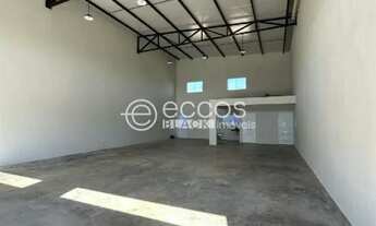 Imagem: Galpão para aluguel, Jardim Holanda - Uberlândia/MG