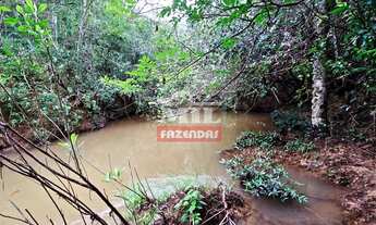 Imagem 3: Imóvel para venda tem 500 metros quadrados em Zona Rural - Orizona - GO