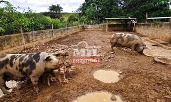 Imagem 6: Imóvel para venda tem 500 metros quadrados em Zona Rural - Orizona - GO