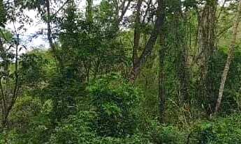 Imagem 2: Casa de condomínio para venda tem 3710 metros quadrados