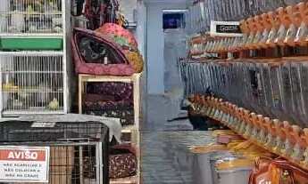 Imagem 6: Pet shop com veterinária de esquina em Guarulhos. Ref; 1018