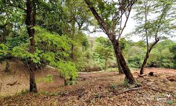 Imagem 2: Aldeia do Vale Terreno exclusivo com fundo para mata preservada em Goiânia