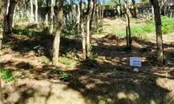 Imagem: Lote em Rua Madeira - Granja Carneiro Viana