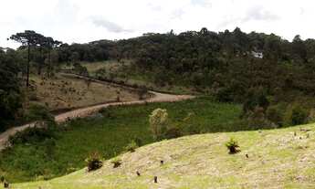 Imagem: Chácara papanduva da serra