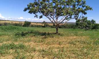 Imagem 9: Fazenda a venda Fazenda / sítio com venda por R$15.000.000