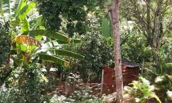 Imagem 3: Vendo ou troco chácara por casa na cidade da região ou casa na baixada