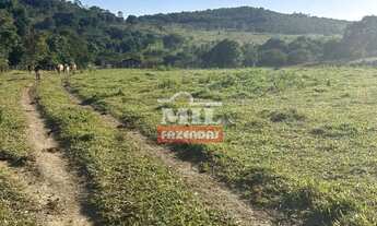 Imagem 3: Fazenda 33 alqueires (159,72 hectares) Edeia - GO