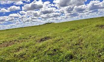 Imagem 5: Fazenda em Novo Acordo/Rio Sono