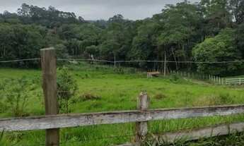 Imagem 4: SÍTIO - FEITAL - SP