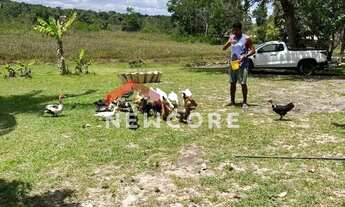 Imagem 4: Casa em 1ª Travessa do Tanque - Monte Gordo (Monte Gordo) - Camaçari/BA