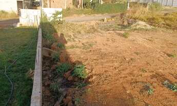 Imagem 4: Lote no Incra 7 BR 070 450 Metros Quadrados