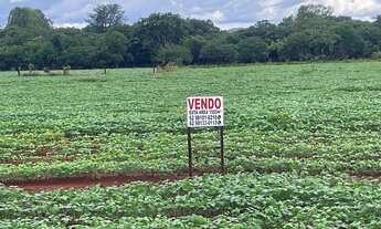 Imagem: ÁREA COMERCIAL CALDAS NOVAS