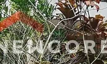 Imagem 4: Casa de condomínio em Rua Aprovada 698 - Costa do Sol - Bertioga/SP