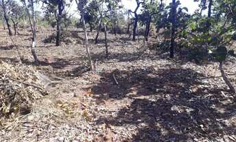 Imagem 7: VENDO!!! Um terreno bruto com 1.020 M² no loteamento gratidão, somente 12 km da