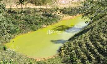 Imagem 7: Terreno com 7 alqueires à venda em Jabaquara, Anchieta/ES - ideal para pecuária, agricultu