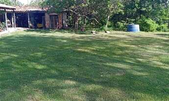 Imagem 2: VENDO!!! Um sítio de 20 hectares com ótima logística na região da cidade de Rosa