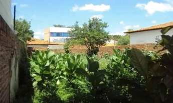 Imagem 4: Terreno para alugar com 150,00 metros quadrados no HORTO - Teresina - Piauí