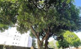 Imagem 4: Apartamento à venda no ACUPE DE BROTAS, SALVADOR - BA , ACUPE DE BROTAS, Salvador, BA