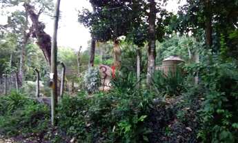 Imagem 2: Excelente terreno para venda em Vargem Grande com 3200m2 condominio Mae Terra com casas de