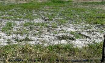 Imagem: Vende-se Terreno Colônia Sergipe
