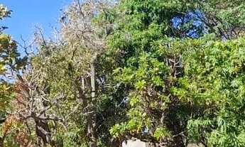 Imagem 3: Vende-se lote Terreno / lote com venda por R$20.000