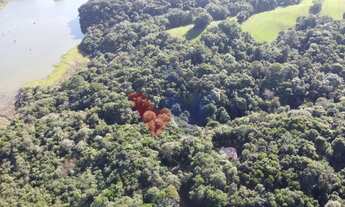 Imagem 4: Chácara em Araucária com nascente, represa e natureza exuberante Aceita imóvel