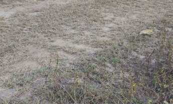 Imagem 2: Vende-se terreno em Simão Dias, próx da Rodovia, rua pavimentada. O terreno mede 07x25