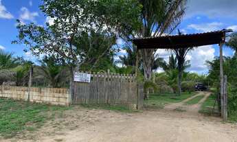 Imagem: SÍTIO NA ESTRADA DE NOVO AIRÃO