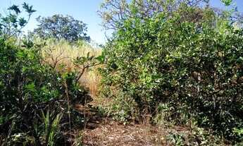 Imagem 7: Terreno 60 hectares com excelente preço e aceita troca de casa Sete Lagoas