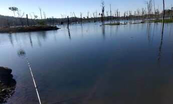 Imagem: Chácara em condomínio no alagado Jamari