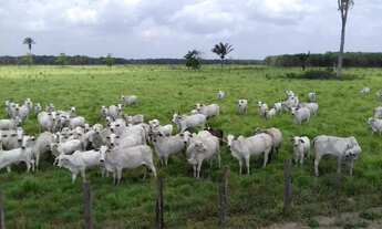 Imagem: R$ 20 milhões 1107 hectares pronta e 100