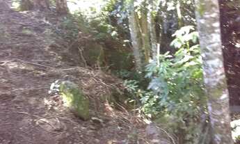 Imagem 4: Vendo Terreno no Sana